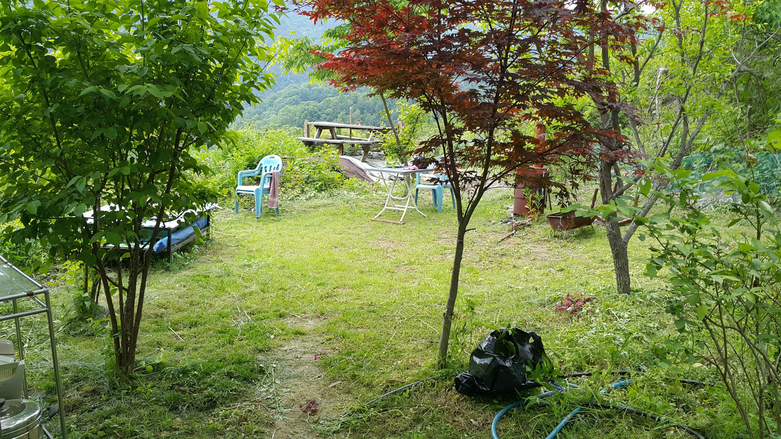 런치카페 전경 
